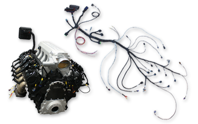 AEM 30-3821 Infinity Series 5 Plug & Play Engine Harness for GM
