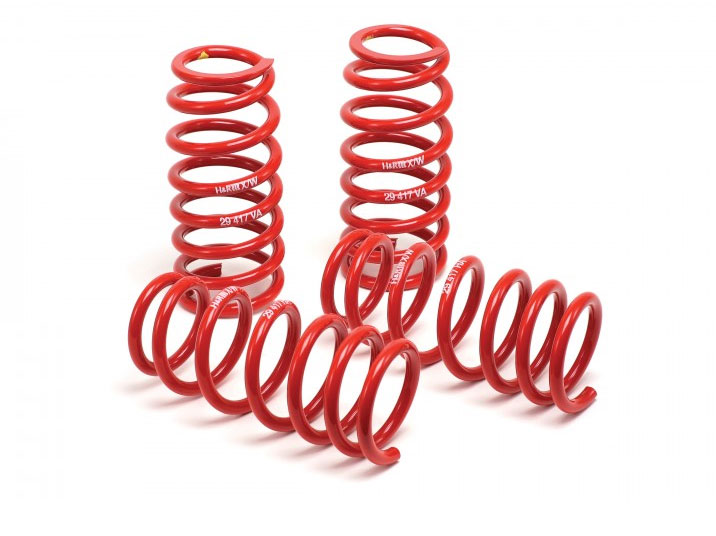 H&R 00-05 Ford Focus SVT Typ DAW Race Spring 22/40 not Wagon - Click Image to Close