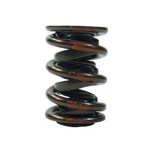 Ferrea Dual Valve Spring with Damper - 1.430in - S10008 - Click Image to Close