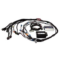 Haltech HT-141365 Elite 2500 Non DBW Terminated Harness Only-GM