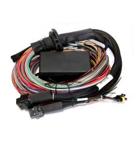Haltech HT-141390 Elite 2500 Plug&Play Adaptor Harness - Ford