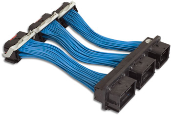AEM ECU Extension Harness For Ford & Lincoln 30-2993 - Click Image to Close