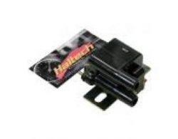 Haltech Dual Post +12V Coil (ignitor not included) - Click Image to Close