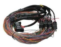 Haltech P Sport 2000 Flying Lead Autospec Harness -Long - Click Image to Close
